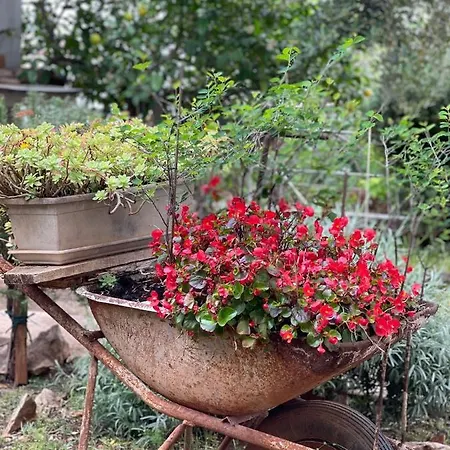 Miki, Okrug Gornji, * טרוגיר