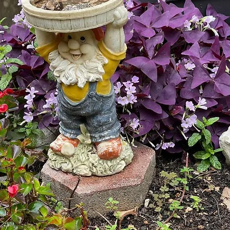 Apartman Miki, Okrug Gornji, Trogir