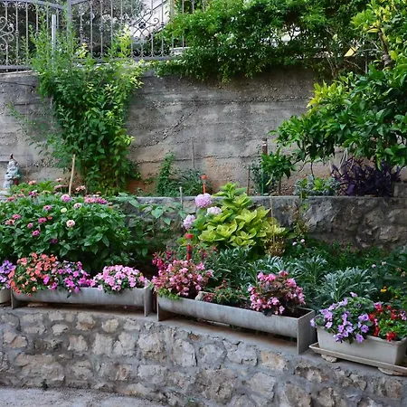 Miki, Okrug Gornji, Apartman