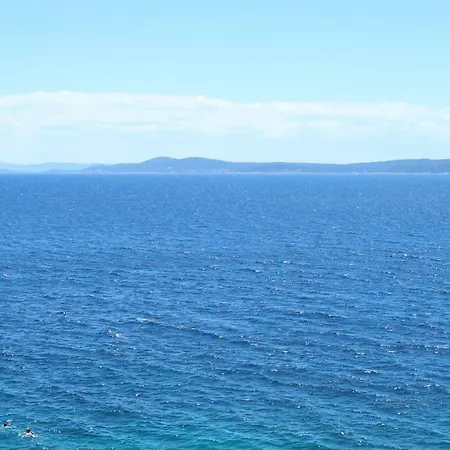 Miki, Okrug Gornji, טרוגיר