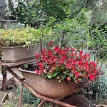 Miki, Okrug Gornji, * Trogir