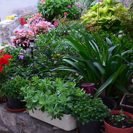 Miki, Okrug Gornji, Apartament *